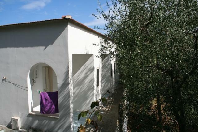 Apartmán Casa Vacanze Pizzone Peschici Exteriér fotografie